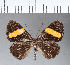  ( - CFCD00122)  @11 [ ] Copyright (2018) Christer Fahraeus Center For Collection-Based Research