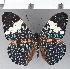  ( - CFCD01222)  @11 [ ] Copyright (2019) Christer Fahraeus Center For Collection-Based Research
