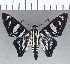  ( - CFCD01223)  @11 [ ] Copyright (2019) Christer Fahraeus Center For Collection-Based Research