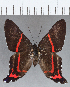  ( - CFCD01229)  @11 [ ] Copyright (2019) Christer Fahraeus Center For Collection-Based Research