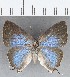  ( - CFCD01262)  @11 [ ] Copyright (2019) Christer Fahraeus Center For Collection-Based Research