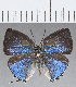  ( - CFCD01302)  @11 [ ] Copyright (2019) Christer Fahraeus Center For Collection-Based Research