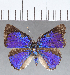  ( - CFCD01320)  @11 [ ] Copyright (2019) Christer Fahraeus Center For Collection-Based Research
