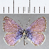  ( - CFCD01348)  @11 [ ] Copyright (2019) Christer Fahraeus Center For Collection-Based Research