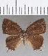  ( - CFCD01378)  @11 [ ] Copyright (2019) Christer Fahraeus Center For Collection-Based Research