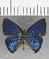  ( - CFCD01408)  @11 [ ] Copyright (2020) Christer Fahraeus Center For Collection-Based Research