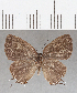  ( - CFCD01409)  @11 [ ] Copyright (2020) Christer Fahraeus Center For Collection-Based Research