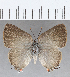  ( - CFCD01419)  @11 [ ] Copyright (2020) Christer Fahraeus Center For Collection-Based Research