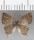  ( - CFCD01425)  @11 [ ] Copyright (2020) Christer Fahraeus Center For Collection-Based Research