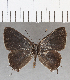  ( - CFCD01427)  @11 [ ] Copyright (2020) Christer Fahraeus Center For Collection-Based Research