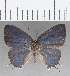  ( - CFCD01428)  @11 [ ] Copyright (2020) Christer Fahraeus Center For Collection-Based Research