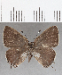  ( - CFCD01429)  @11 [ ] Copyright (2020) Christer Fahraeus Center For Collection-Based Research