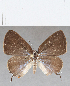  ( - CFCD01435)  @11 [ ] Copyright (2020) Christer Fahraeus Center For Collection-Based Research
