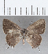  ( - CFCD01441)  @11 [ ] Copyright (2020) Christer Fahraeus Center For Collection-Based Research