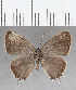  ( - CFCD01445)  @11 [ ] Copyright (2020) Christer Fahraeus Center For Collection-Based Research
