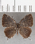  ( - CFCD01466)  @11 [ ] Copyright (2020) Christer Fahraeus Center For Collection-Based Research