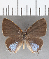  ( - CFCD01470)  @11 [ ] Copyright (2020) Christer Fahraeus Center For Collection-Based Research