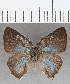  ( - CFCD01476)  @11 [ ] Copyright (2020) Christer Fahraeus Center For Collection-Based Research