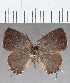  ( - CFCD01484)  @13 [ ] Copyright (2020) Christer Fahraeus Center For Collection-Based Research