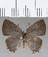  ( - CFCD01490)  @11 [ ] Copyright (2020) Christer Fahraeus Center For Collection-Based Research