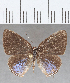  ( - CFCD01492)  @11 [ ] Copyright (2020) Christer Fahraeus Center For Collection-Based Research