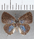  ( - CFCD01495)  @11 [ ] Copyright (2020) Christer Fahraeus Center For Collection-Based Research