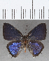  ( - CFCD01501)  @11 [ ] Copyright (2020) Christer Fahraeus Center For Collection-Based Research