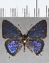  ( - CFCD01502)  @11 [ ] Copyright (2020) Christer Fahraeus Center For Collection-Based Research