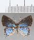  ( - CFCD01511)  @11 [ ] Copyright (2020) Christer Fahraeus Center For Collection-Based Research