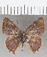  ( - CFCD01524)  @11 [ ] Copyright (2020) Christer Fahraeus Center For Collection-Based Research