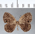  ( - CFCD00153)  @11 [ ] Copyright (2018) Christer Fahraeus Center For Collection-Based Research
