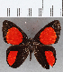  ( - CFCD01539)  @11 [ ] Copyright (2020) Christer Fahraeus Center For Collection-Based Research