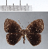  ( - CFCD00154)  @11 [ ] Copyright (2018) Christer Fahraeus Center For Collection-Based Research