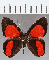  ( - CFCD01542)  @11 [ ] Copyright (2020) Christer Fahraeus Center For Collection-Based Research