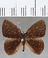  ( - CFCD01547)  @11 [ ] Copyright (2020) Christer Fahraeus Center For Collection-Based Research