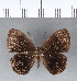  ( - CFCD00156)  @11 [ ] Copyright (2018) Christer Fahraeus Center For Collection-Based Research