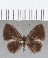  ( - CFCD01595)  @11 [ ] copyright (2020) Christer Fahraeus Center For Collection-Based Research