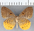  ( - CFCD01606)  @11 [ ] copyright (2020) Christer Fahraeus Center For Collection-Based Research