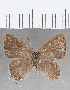 ( - CFCD01632)  @11 [ ] copyright (2020) Christer Fahraeus Center For Collection-Based Research