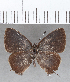  ( - CFCD01633)  @11 [ ] copyright (2020) Christer Fahraeus Center For Collection-Based Research