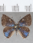  ( - CFCD01658)  @11 [ ] copyright (2020) Christer Fahraeus Center For Collection-Based Research