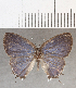  ( - CFCD01673)  @11 [ ] copyright (2020) Christer Fahraeus Center For Collection-Based Research
