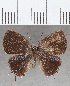  ( - CFCD01674)  @11 [ ] copyright (2020) Christer Fahraeus Center For Collection-Based Research