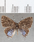  ( - CFCD01675)  @11 [ ] copyright (2020) Christer Fahraeus Center For Collection-Based Research