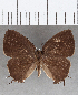  ( - CFCD01676)  @11 [ ] copyright (2020) Christer Fahraeus Center For Collection-Based Research
