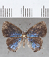  ( - CFCD01678)  @11 [ ] copyright (2020) Christer Fahraeus Center For Collection-Based Research