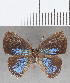  ( - CFCD01681)  @11 [ ] copyright (2020) Christer Fahraeus Center For Collection-Based Research