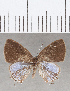  ( - CFCD01682)  @11 [ ] copyright (2020) Christer Fahraeus Center For Collection-Based Research