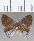  ( - CFCD01684)  @11 [ ] copyright (2020) Christer Fahraeus Center For Collection-Based Research