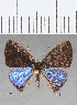  ( - CFCD01685)  @11 [ ] copyright (2020) Christer Fahraeus Center For Collection-Based Research